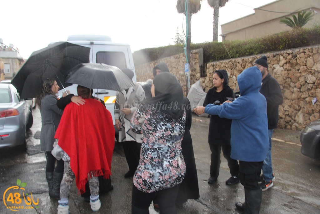 mo3mtreen eight (4).JPG